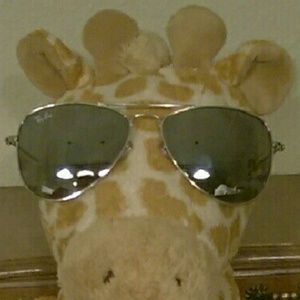 Ray-Ban RJ 9506S (Ray Ban Jr Aviator)